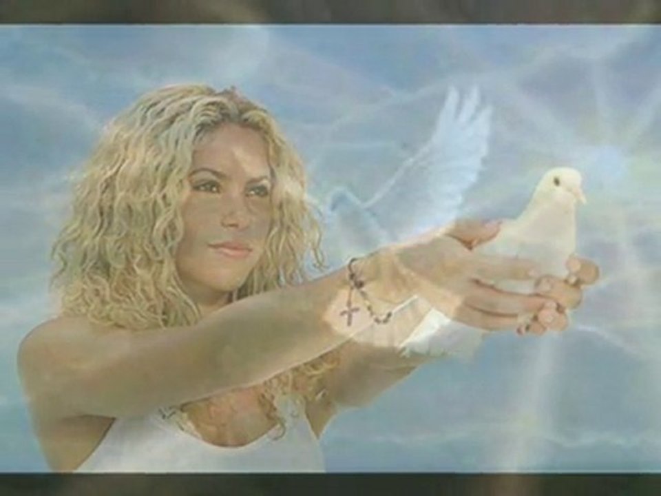 celine  dion - un oiseau blanc