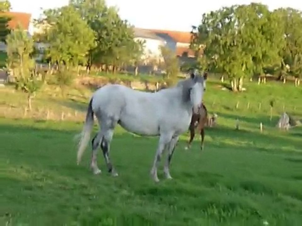 Venecio du Carel - 15 mois