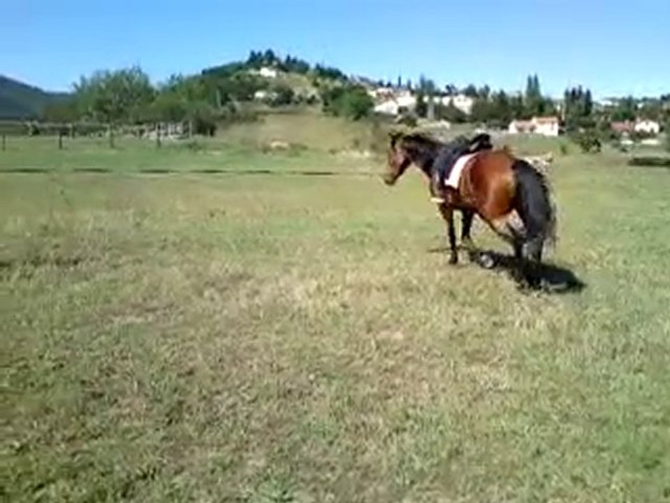 Galop