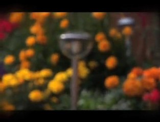 Gardens Of Inspiration - Landscapers Nottingham