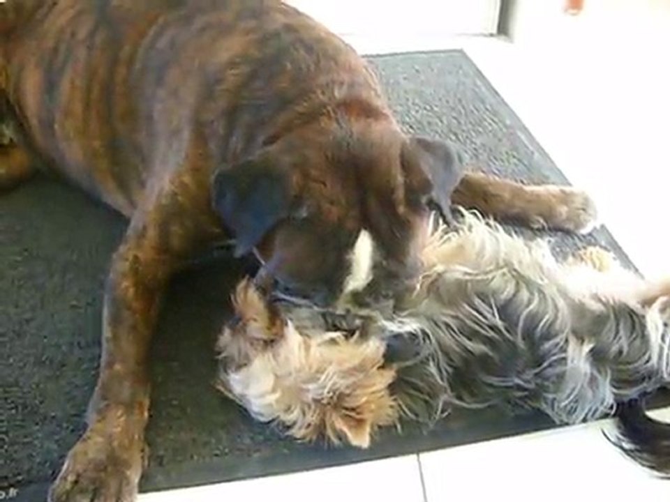 THOR ET ELIOT2
