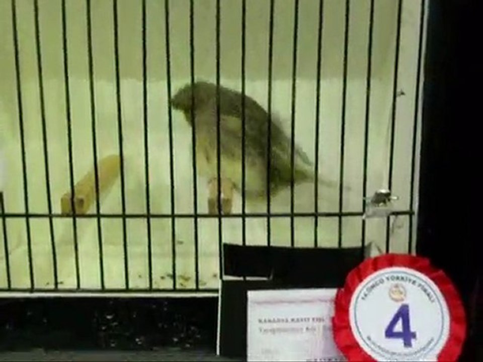 2009-2010 TÜRKiYE FiNAL | AHRAC TEPELiLER