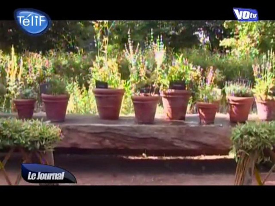 Val-d'Oise : les jardins de l'Abbaye de Royaumont