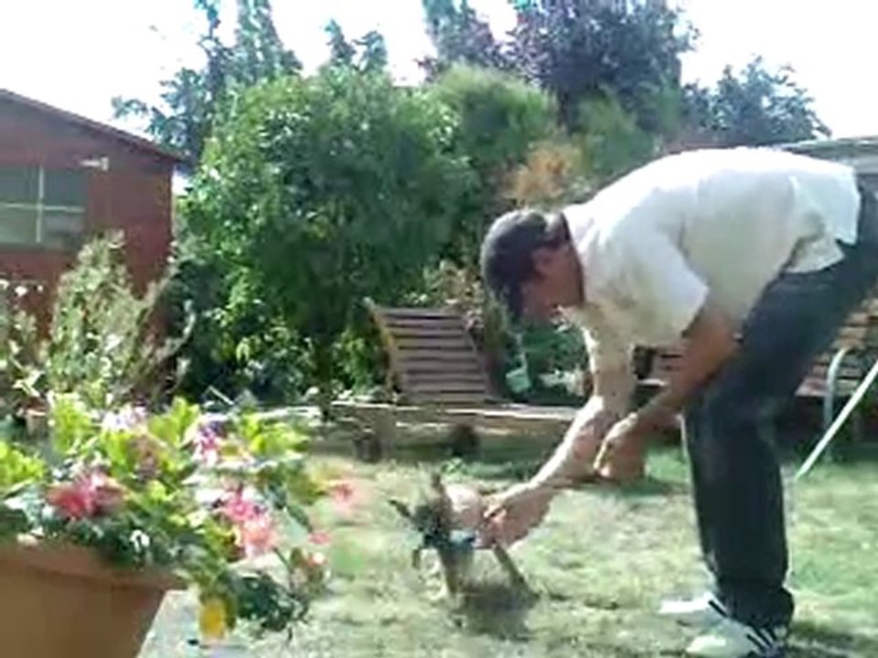 fugees du domaine E toiles filantes 2 mois