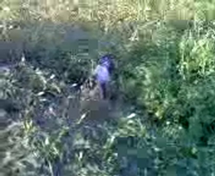 setter naz ferma videosu erol sarı