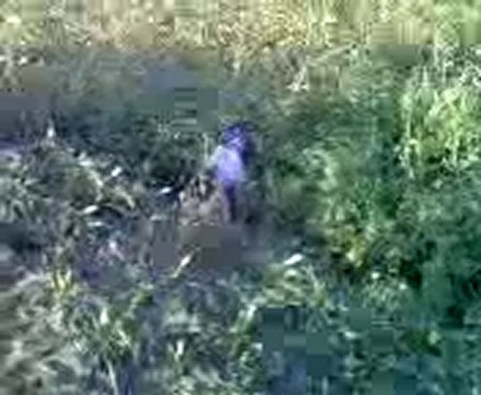 setter naz ferma videosu erol sarı