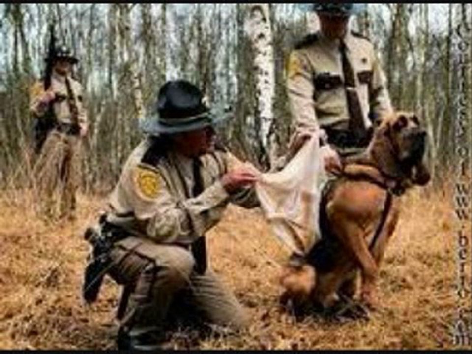 The Vampire Diaries Season 2 Episode 2 Streaming Free