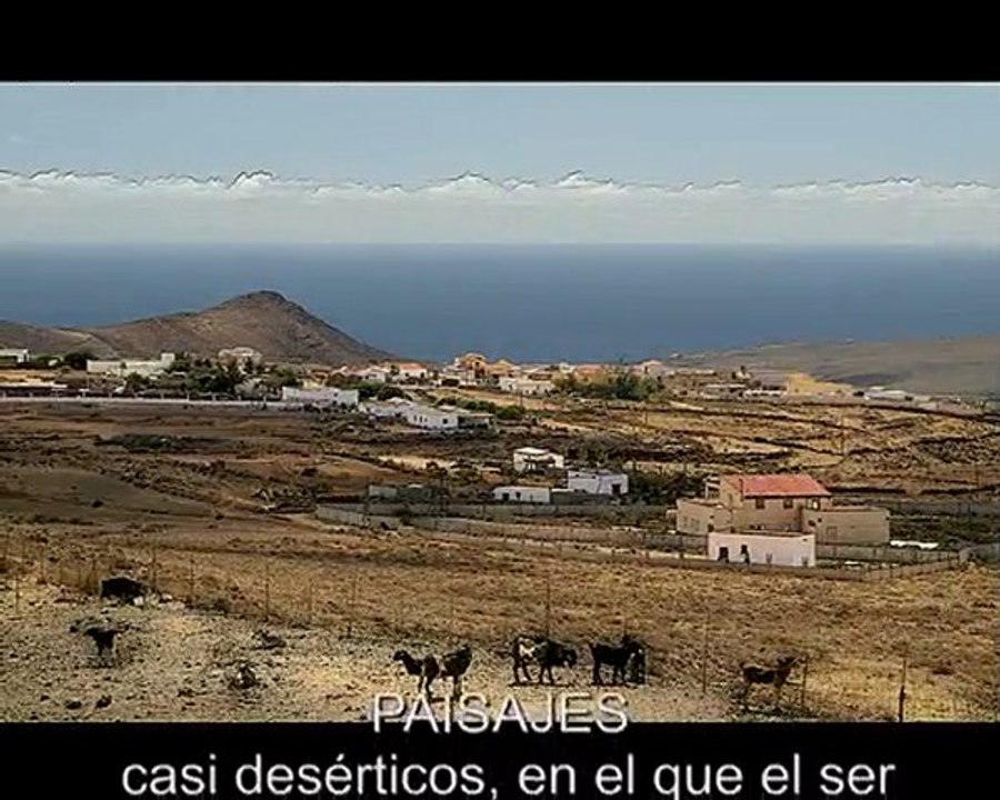 FUERTEVENTURA (Trailer)