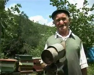 Giresun Balı ve Arı Belgeseli