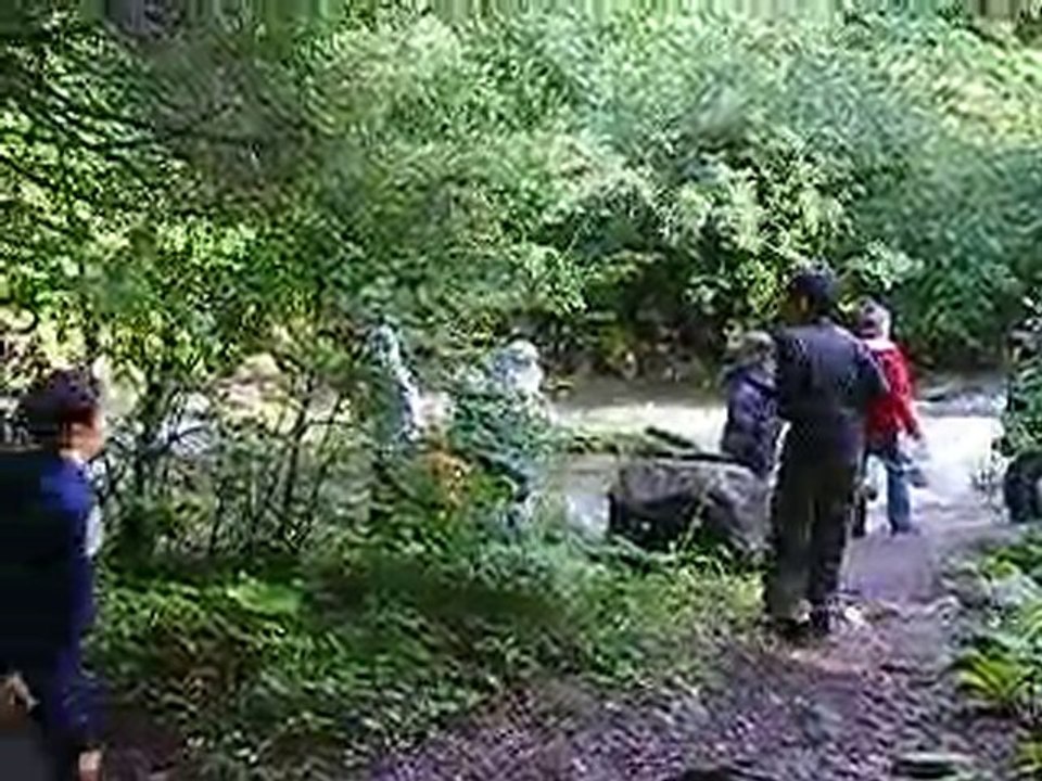 on ne jette pas de pierre dans la riviere ! ! !