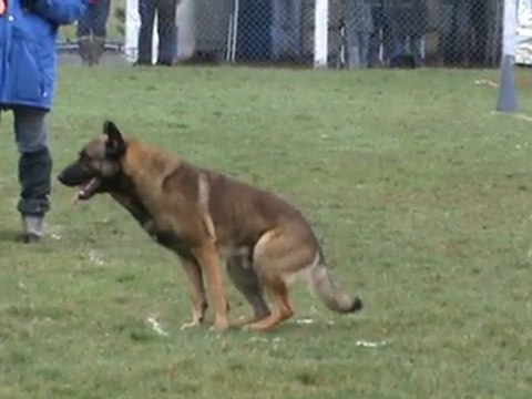 exercice des positions de Cisco concours Cholet fev.2010