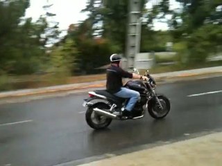 Bulldog Silencieux 🐶