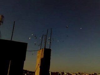 Şanlıurfa Karışma Kuşları-1