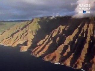 Mega-Tsunami , La Vague Fatale part 2