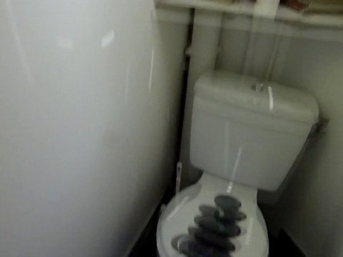 Mirror Ball Water Closet Light Painting