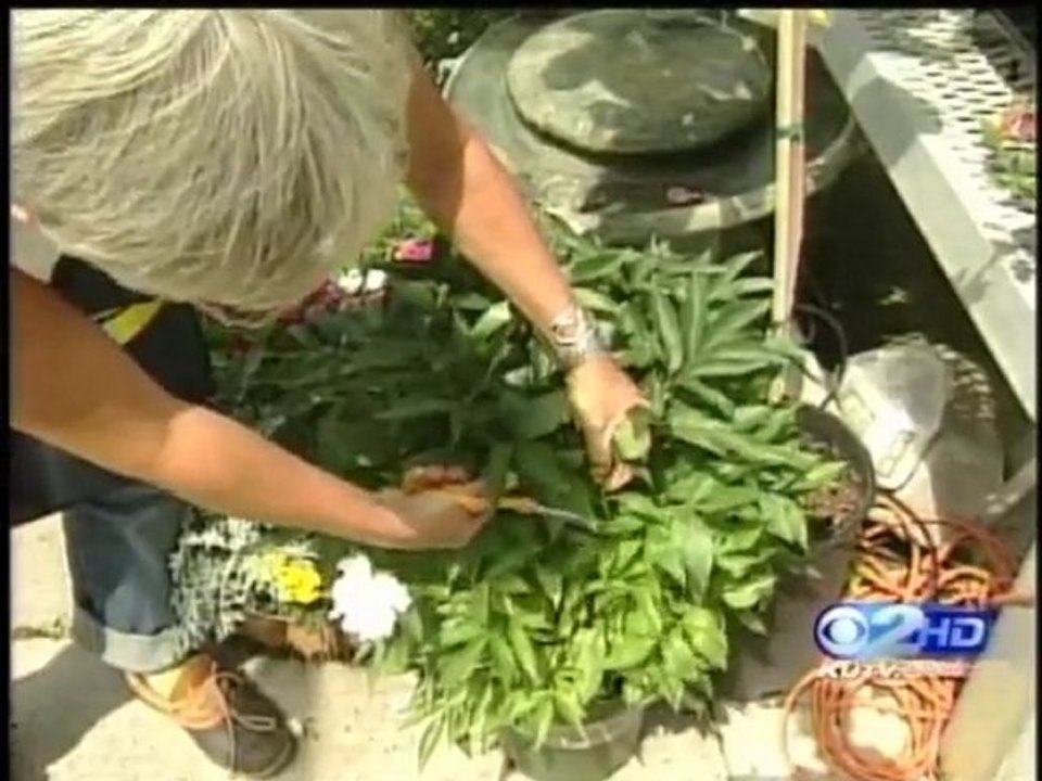 Eye Injury Prevention Utah – The Eye Institute