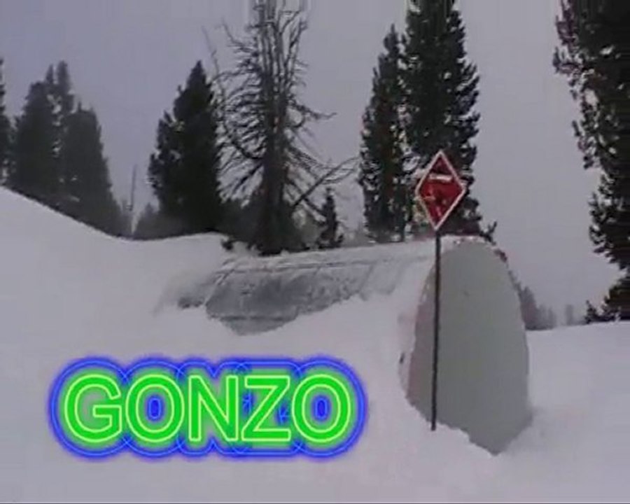 CRAZY GRASS Flo Part