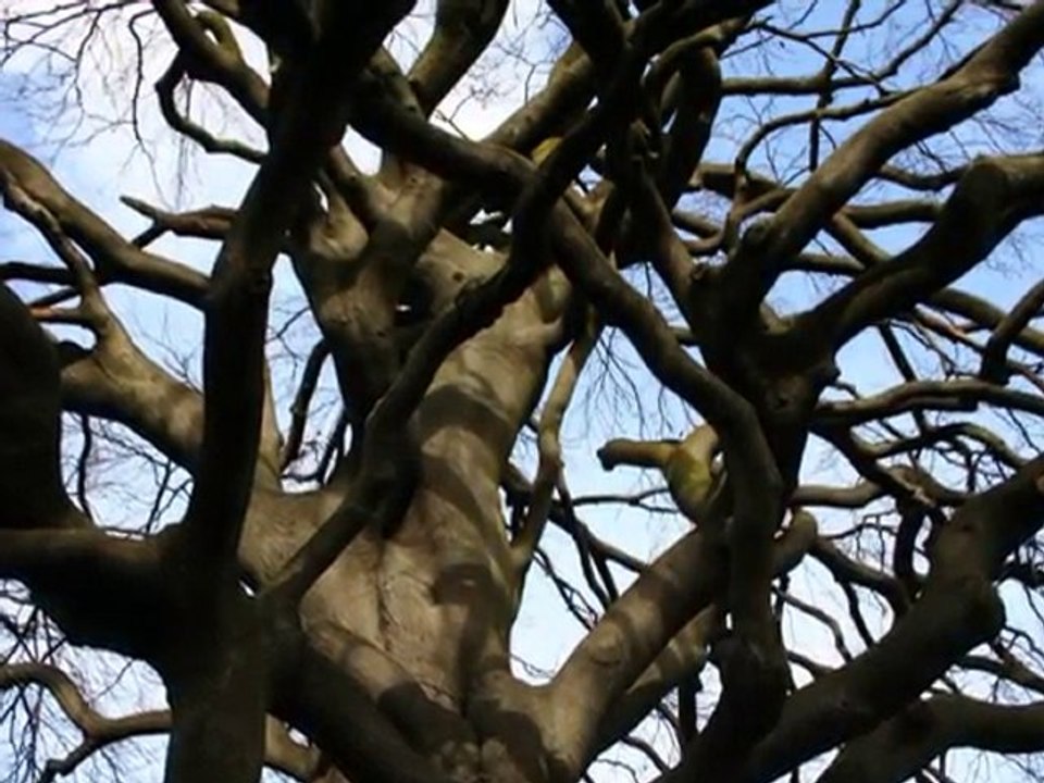 Отрывки из книги Александра Пинта "Люблю-ненавижу"