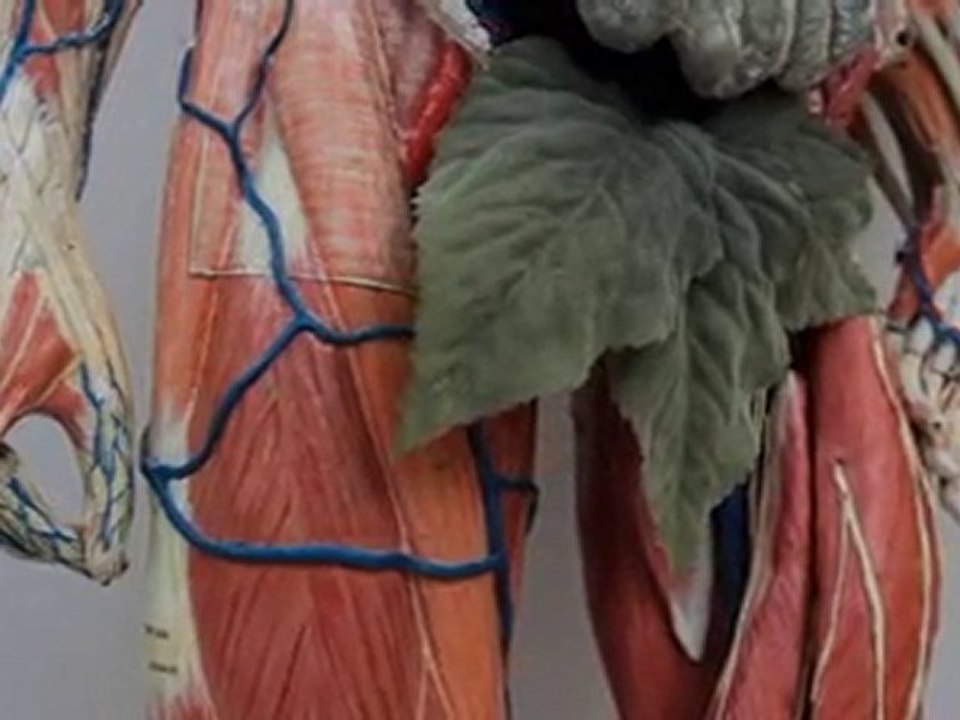 Tour of Contraceptive Museum: The Full Cleveland