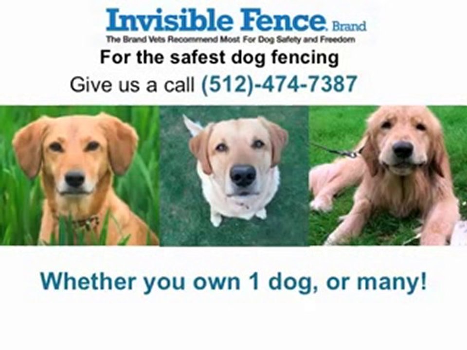 Dog fencing San Antonio