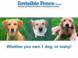 Invisible fencing San Antonio