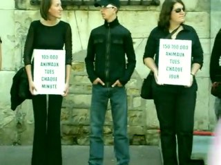 Cérémonie funèbre pour les animaux (3)