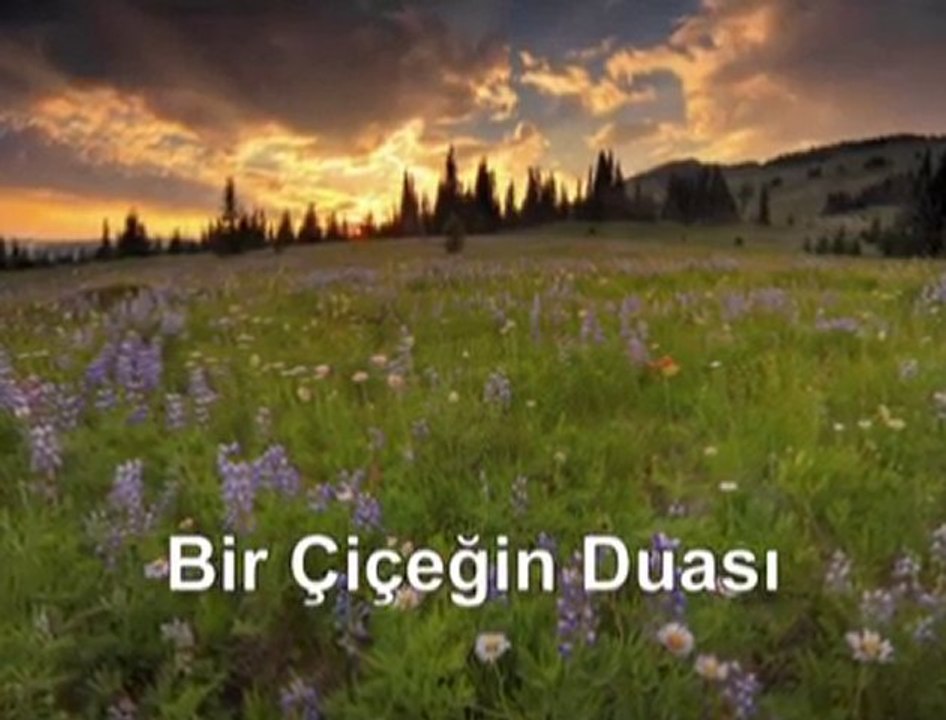 Bir Çiçeğin Duası
