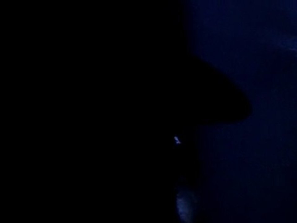 requin aquarium mandalay