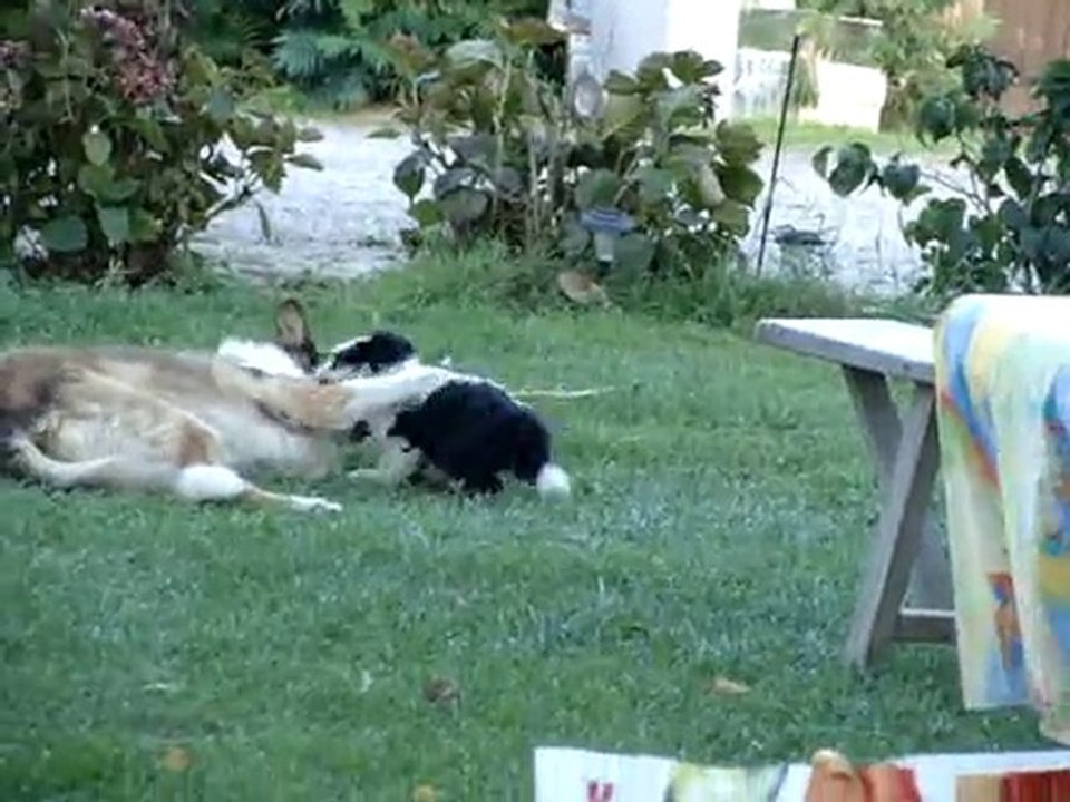 fifi et ola