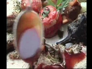 French Gourmet Cycling