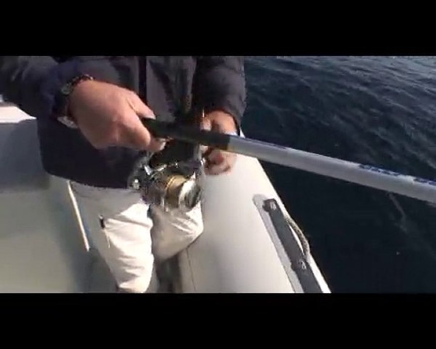 mercan avı-yunan adalar--1