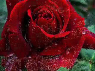 3/2 Yemen ellerinden Veysel Karani  Semazen Onbir