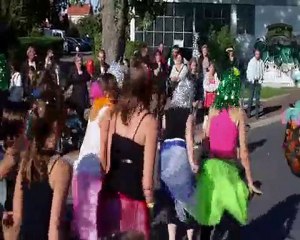 défilé carnavalesque de Beaurains 2010