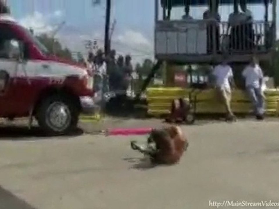 Extreme Pogo Faceplant