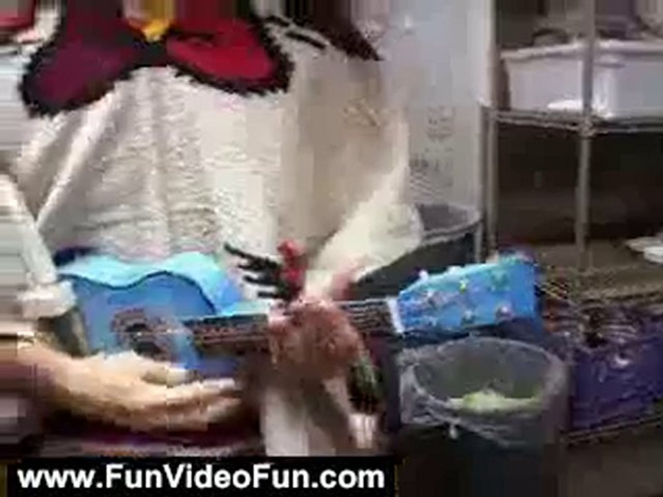 Funny Videos: Amazing Racist Mexican