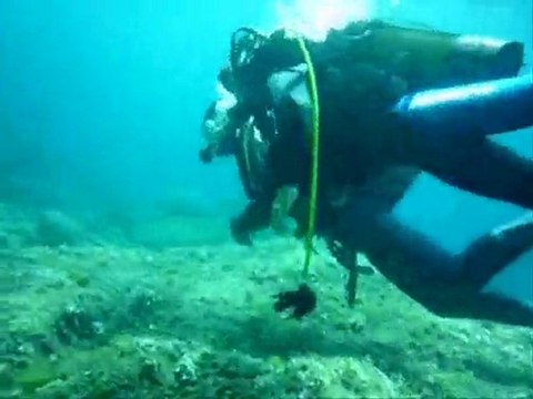 la tribu bulles, école de plongée giens