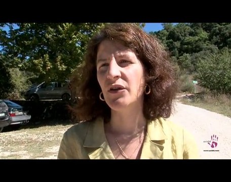 Corinne Gendron - ' ISO 26000 et communication '