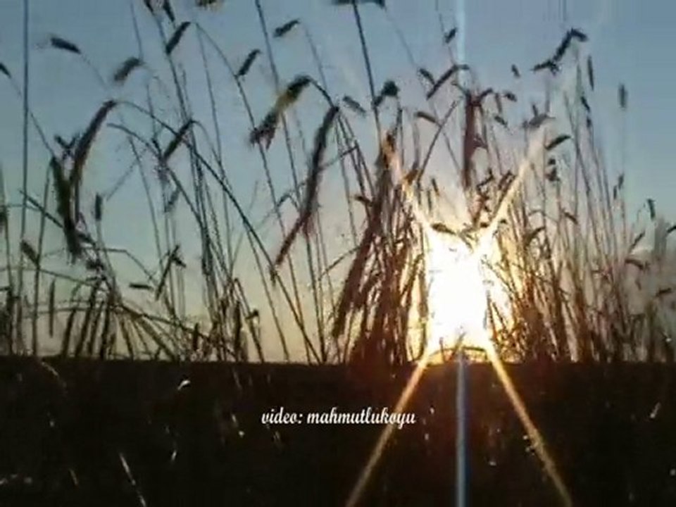 www.mahmutlukoyu.com - 2010 Sezonun ilk klibi TANITIM