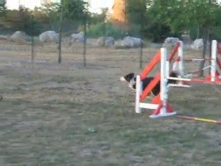 Tempo module Entrainement Mardi 14 septembre 2010