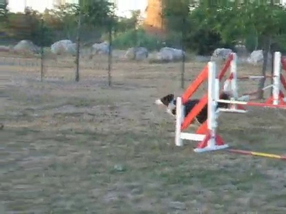 Tempo module Entrainement Mardi 14 septembre 2010