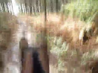 Galop