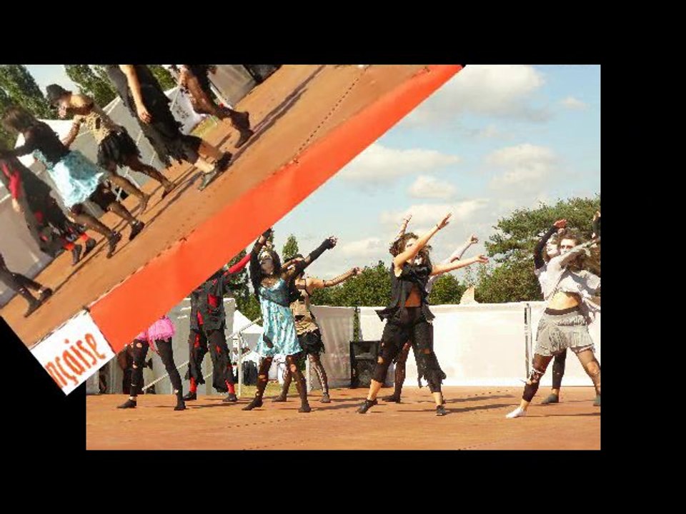 DANSE SANS FRONTIERE 2010