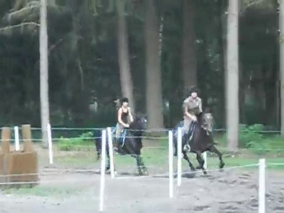 Sur la piste de galop a lamotte beuvreon