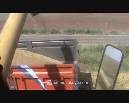 3 BICER YAMANLAR 2 - Mahmutlu Koyu 2010 Goruntuleri