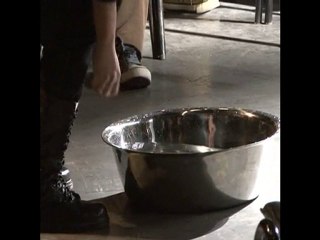 LU Xun "Les Herbes sauvages"  Le Bel enfer perdu  鲁迅  失掉的好地域