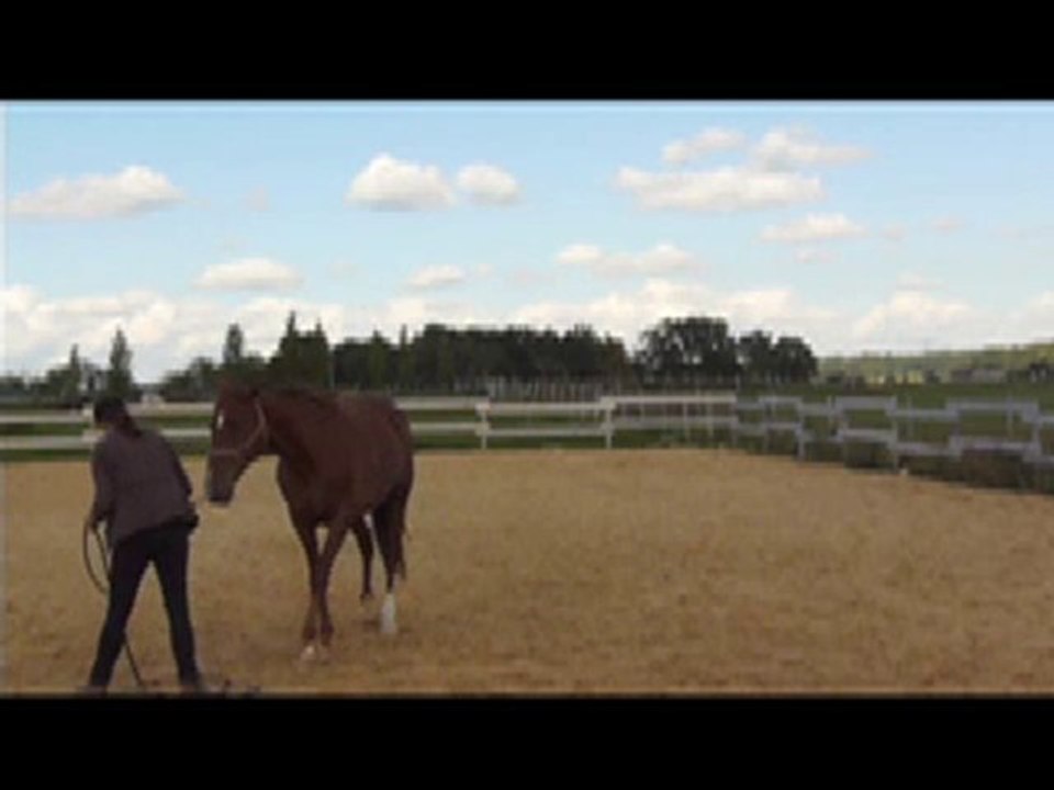 Flexions d'encolure à pied_17 septembre 2010