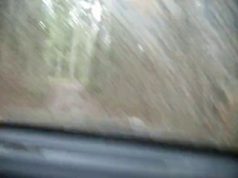 Monique Bourbier rando Allier 2010 IMGP0064