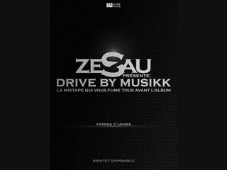 Zesau      casque intégral