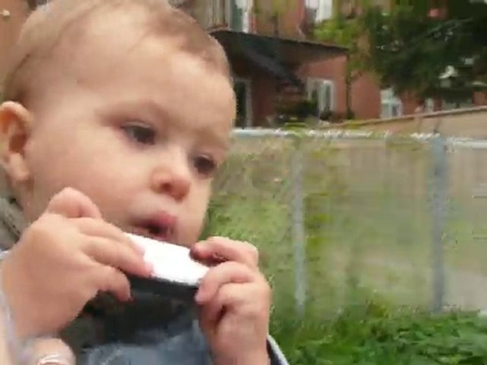 harmonica3