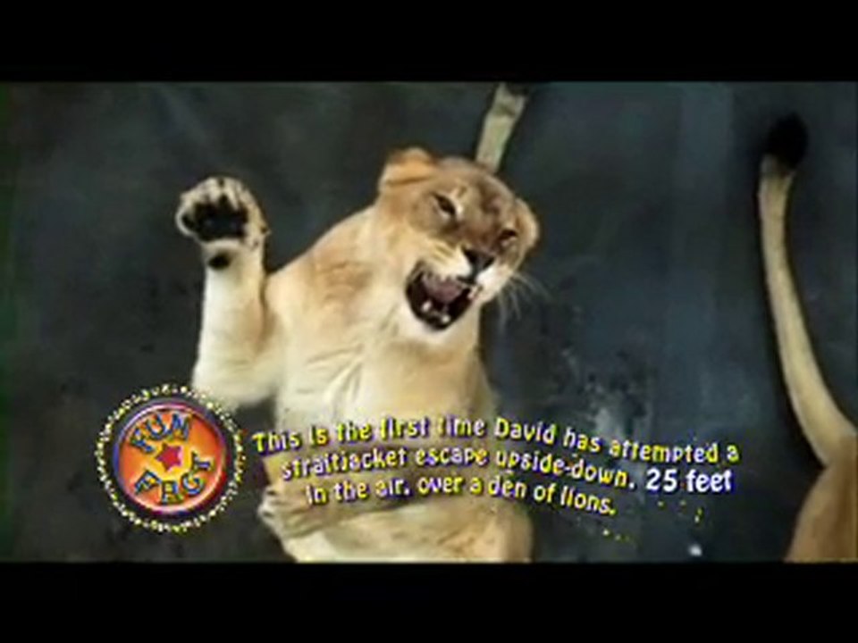 Ringling Bros. and Barnum & Bailey Circus